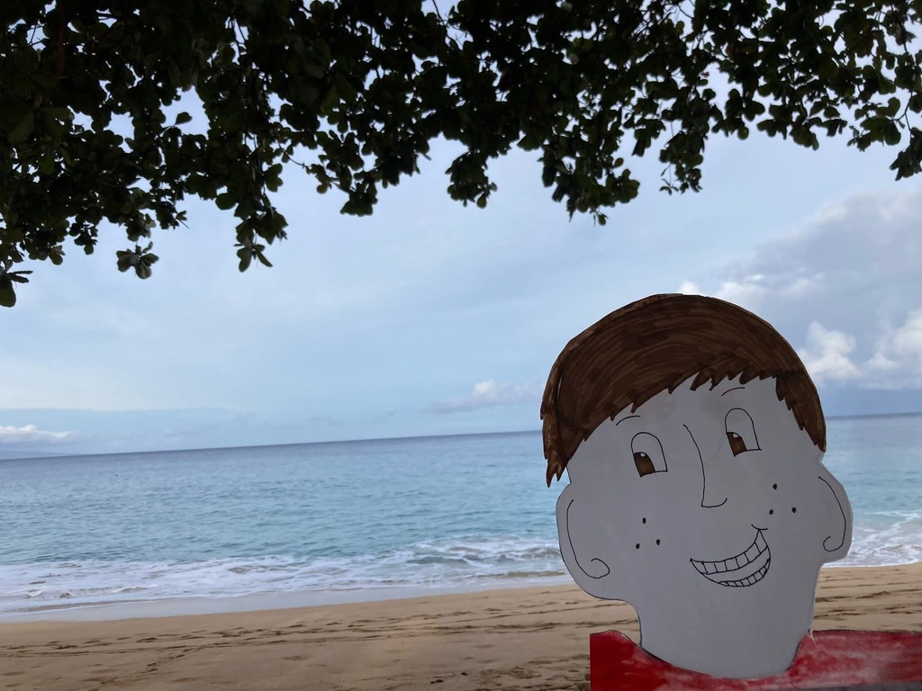 Flat Stanley