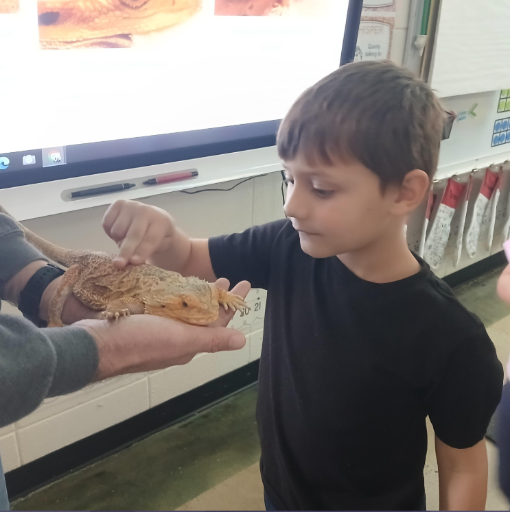 Mrs. Traci's 1st grade