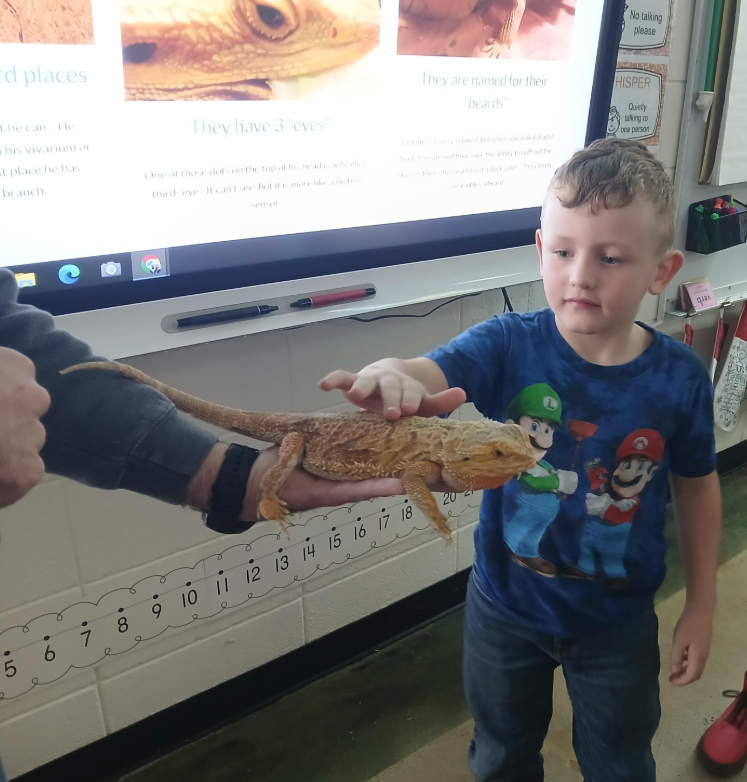 Mrs. Traci's 1st grade