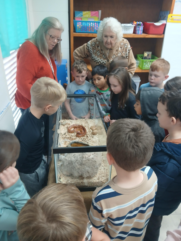 Mrs. Traci's 1st grade