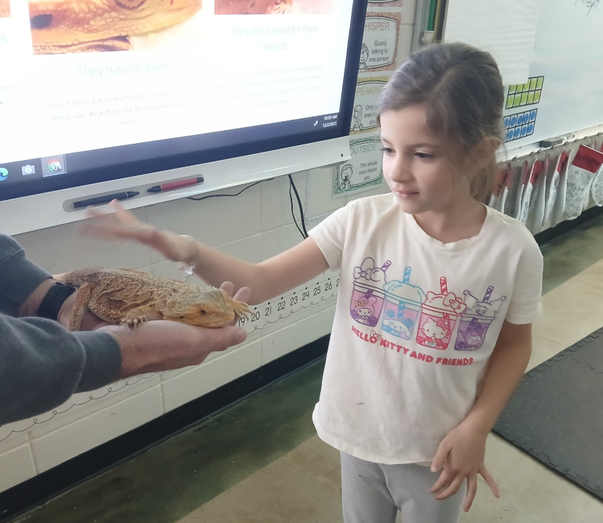 Mrs. Traci's 1st grade