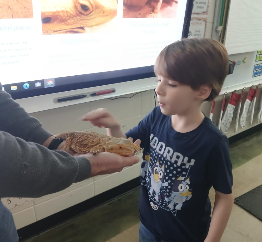 Mrs. Traci's 1st grade