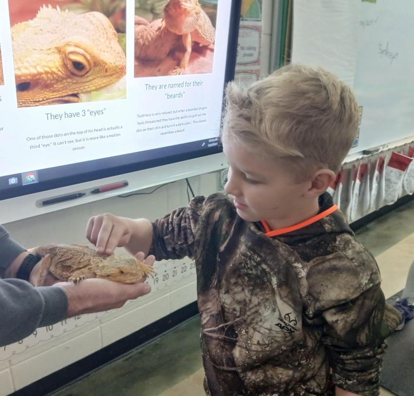 Mrs. Traci's 1st grade