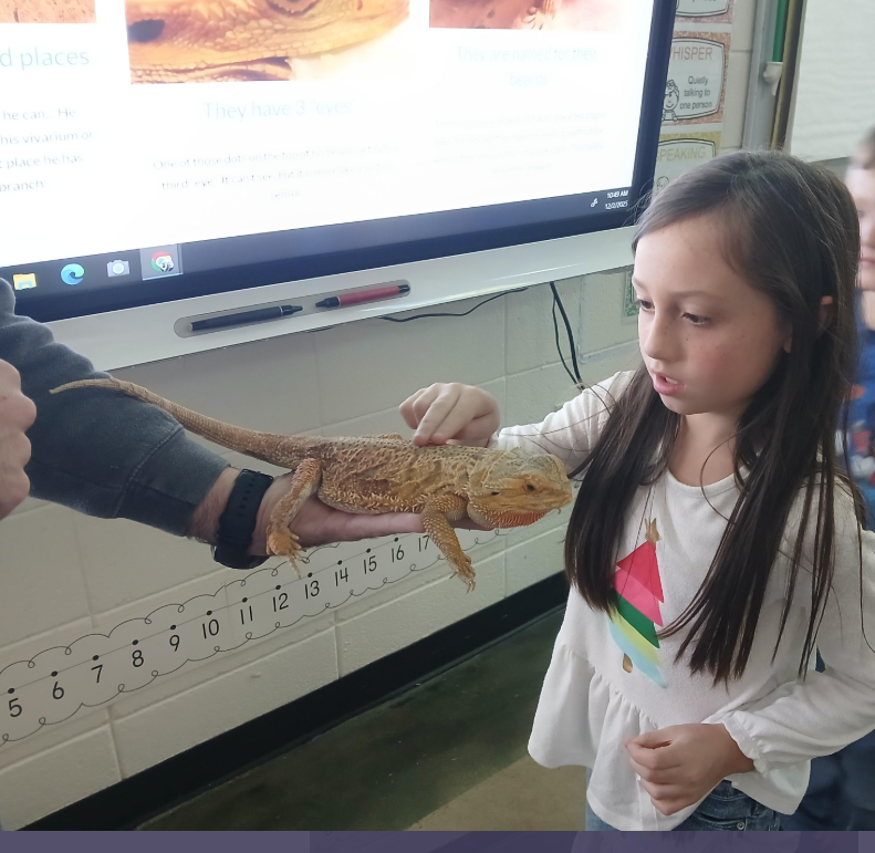 Mrs. Traci's 1st grade