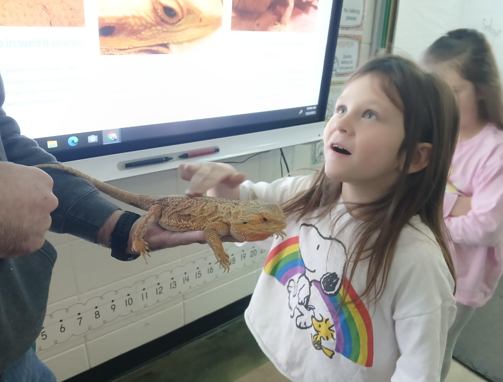 Mrs. Traci's 1st grade