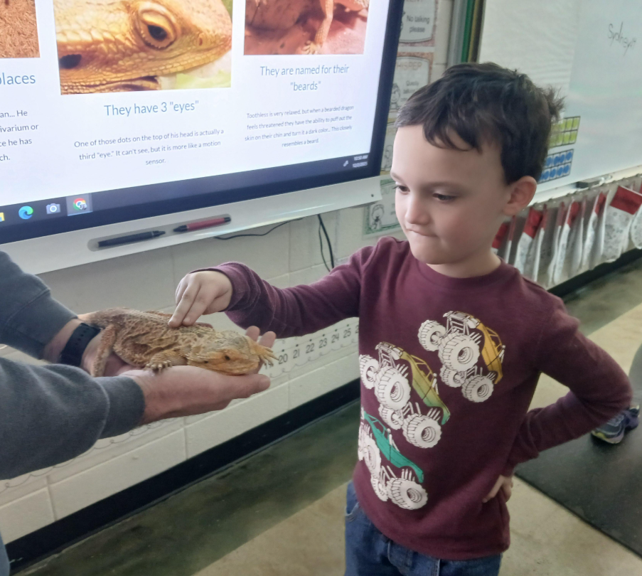 Mrs. Traci's 1st grade