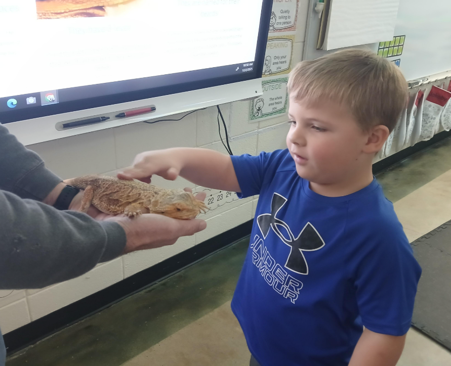 Mrs. Traci's 1st grade