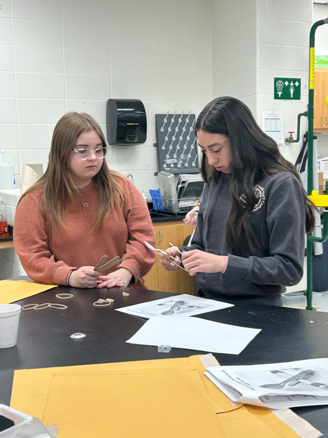 Christmas Labs at WSHS