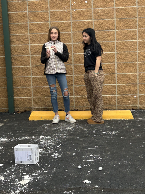 Christmas Labs at WSHS