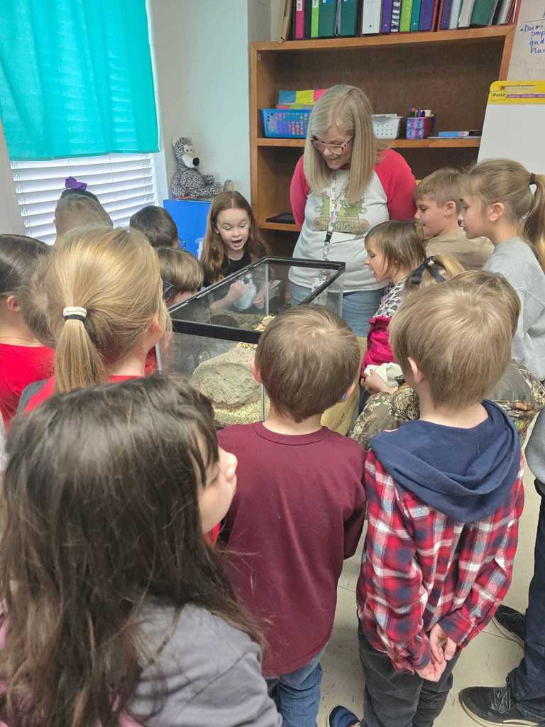 Mrs. Danielle's 1st grade