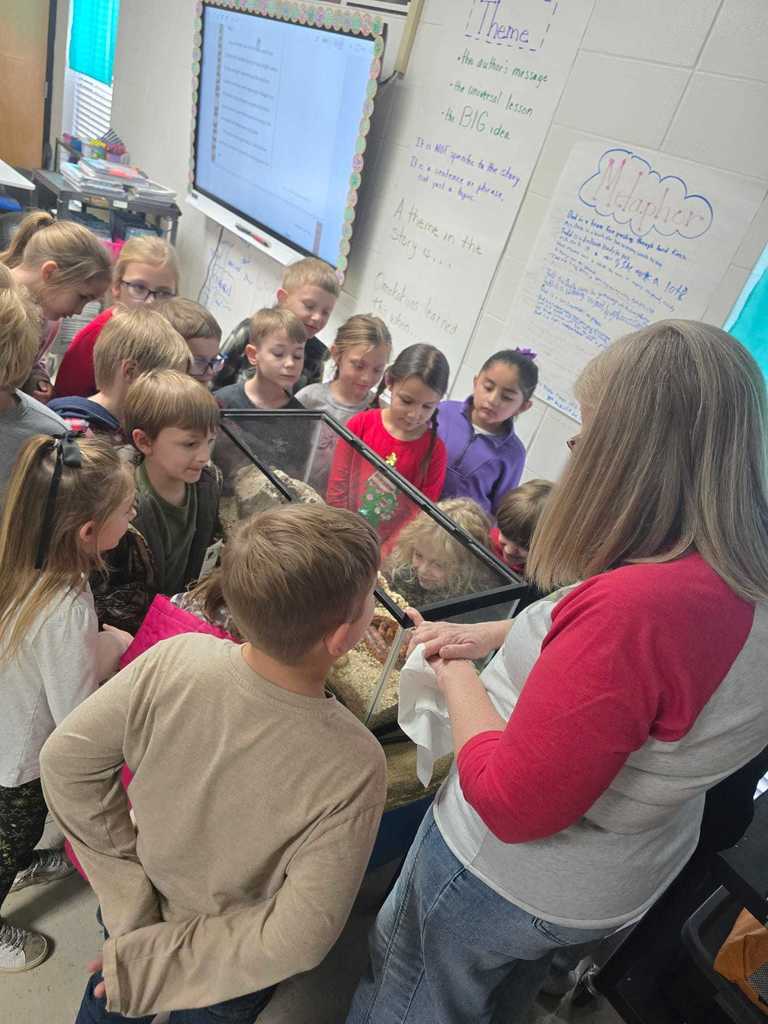 Mrs. Danielle's 1st grade