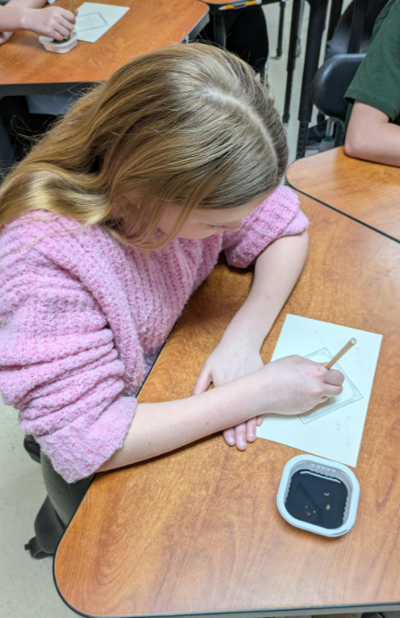 Mr. Caleb's Social Studies Class