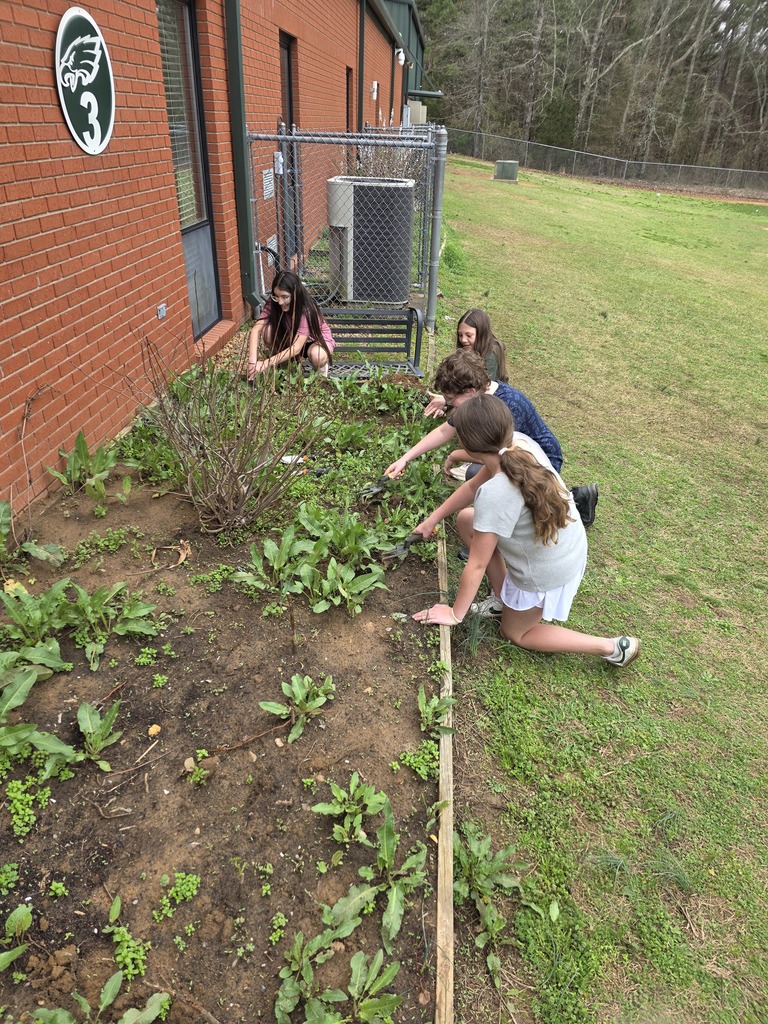 Mr. Caleb's Social Studies Class