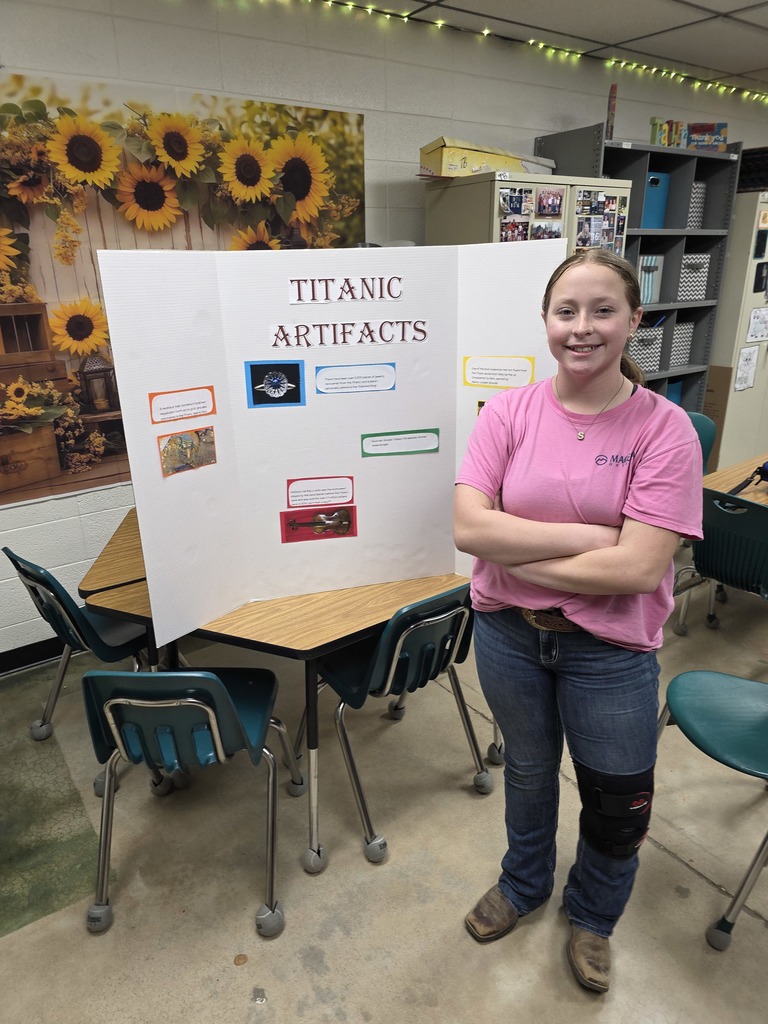 Titanic Projects