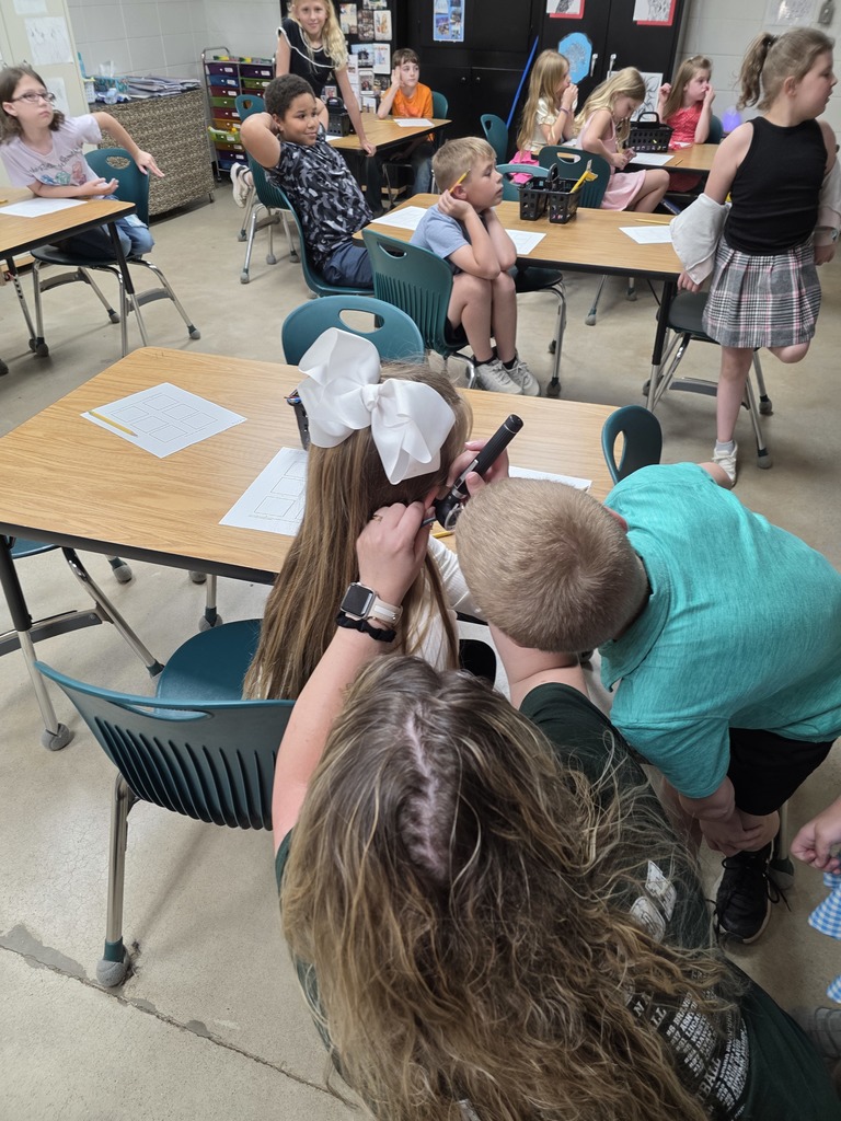 Whole Group Enrichment