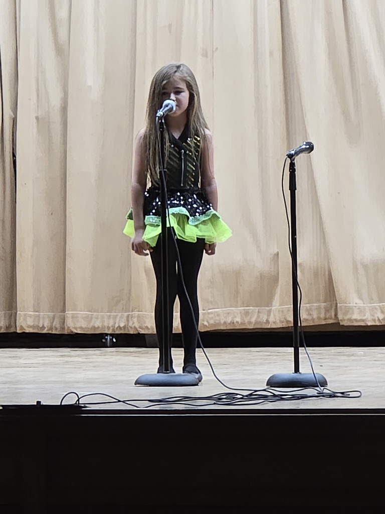 WSE Talent Show