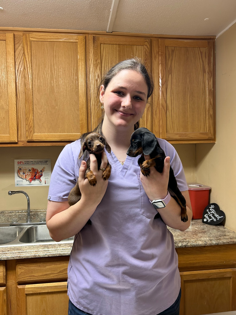 Shyenne working on Veterinarian Technician certification