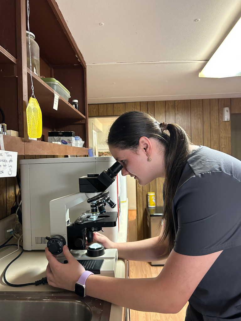 Shyenne working on Veterinarian Technician certification