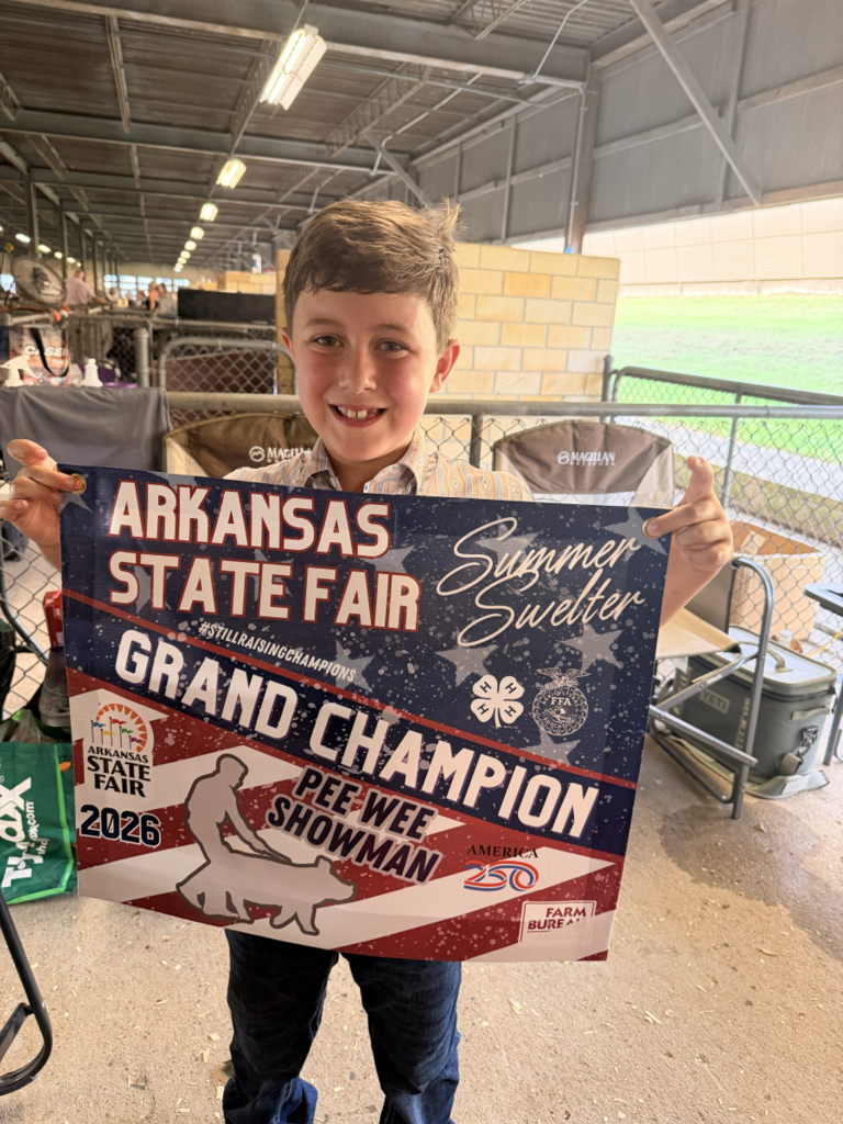 Holden Smith shows champion swine