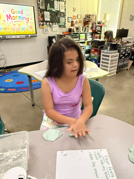 Mrs. Danielle's Class