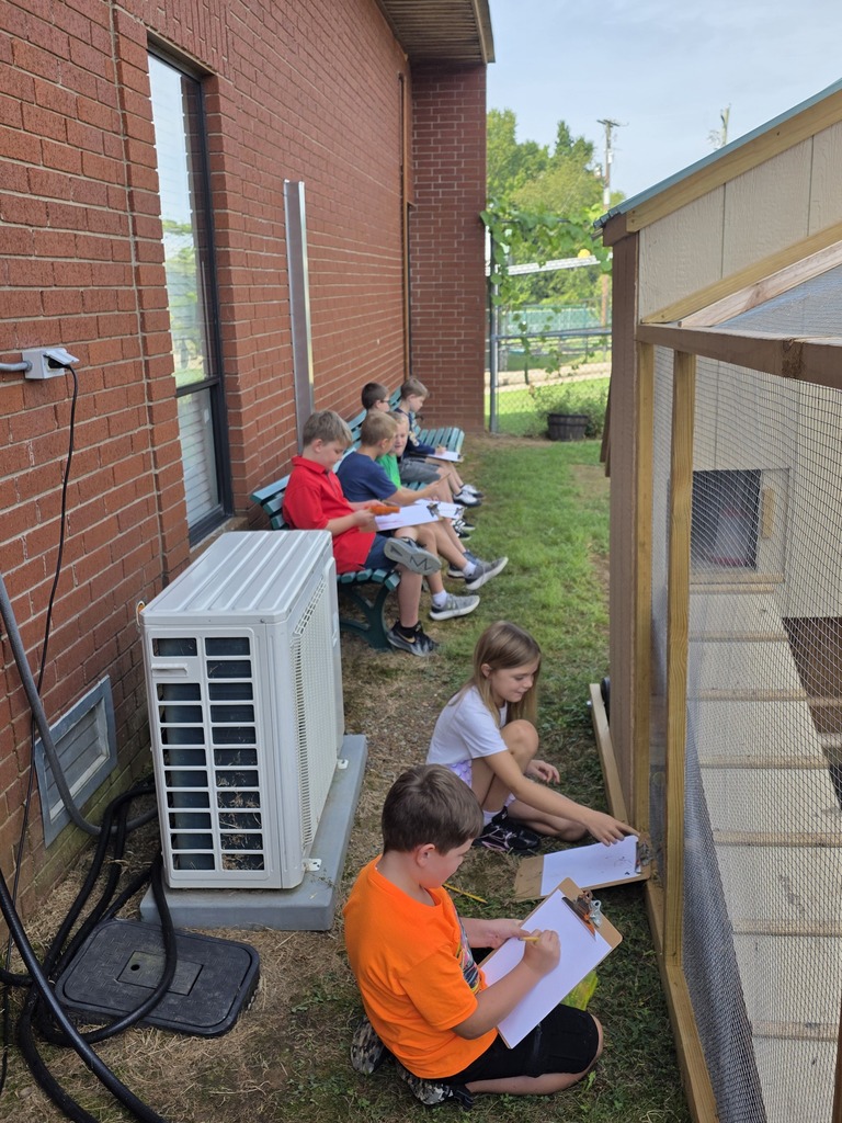 Mrs. Rachel's Class