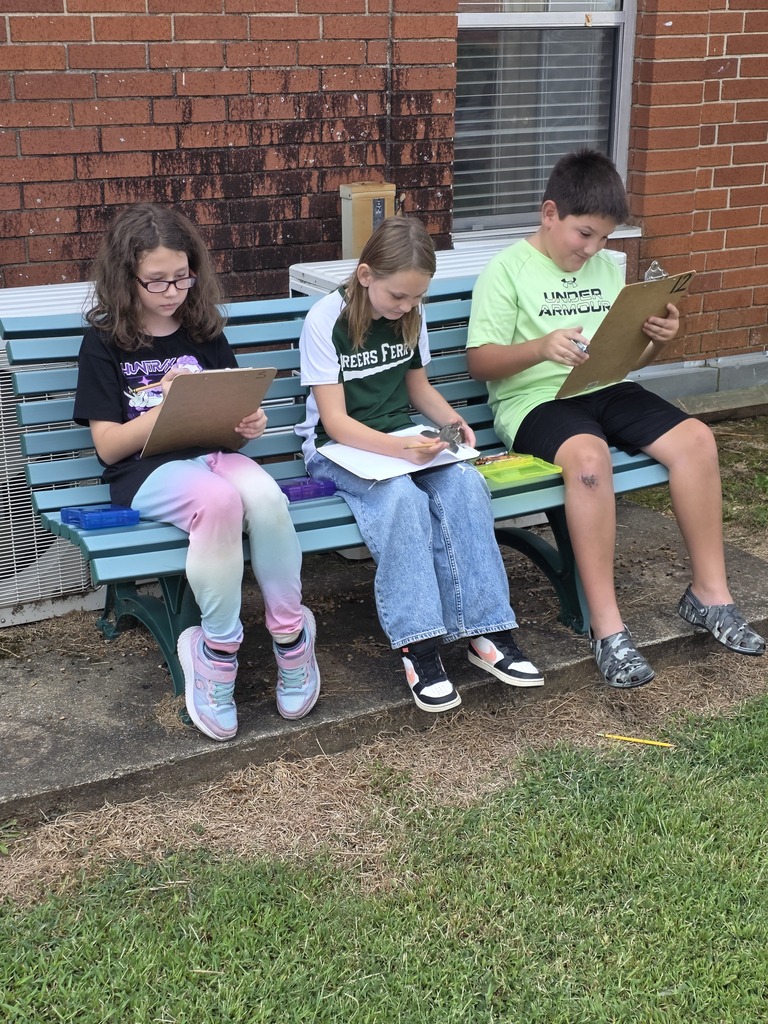 Mrs. Rachel's Class