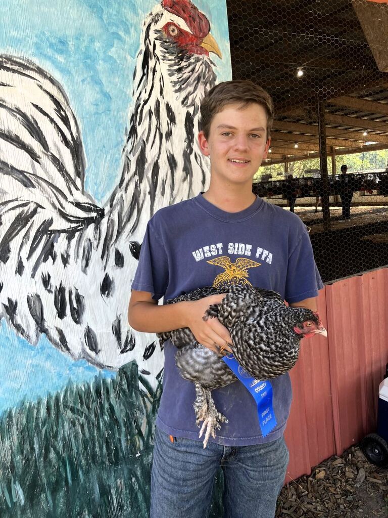 Gage Verser with cuckoo maran chickens