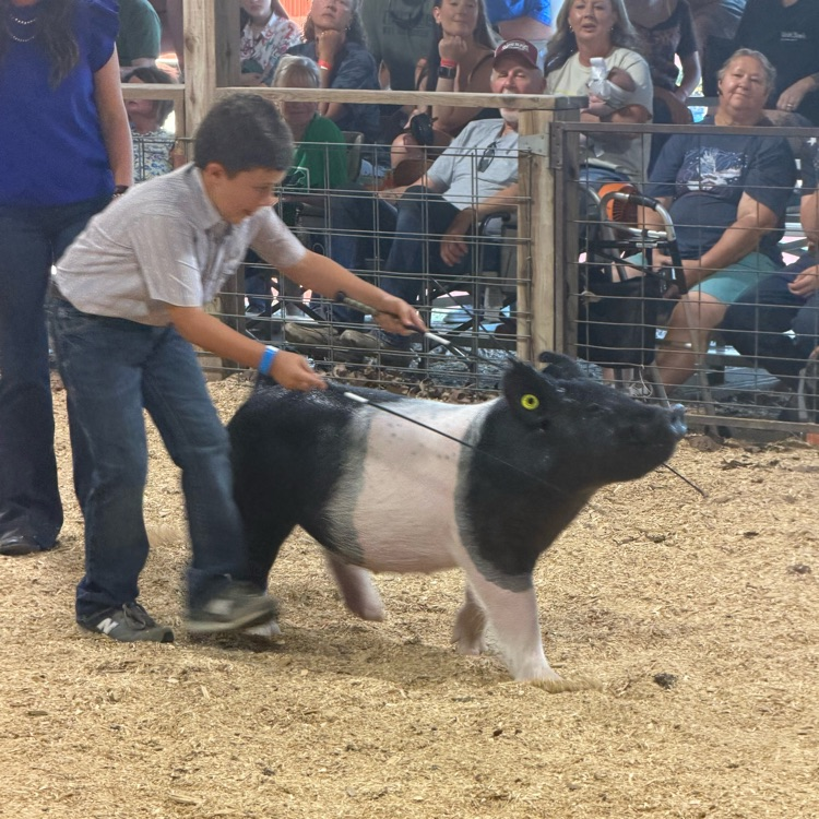 Holden Smith Cleburne County Fair