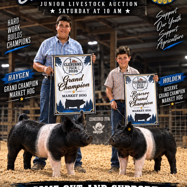 Livestock Auction