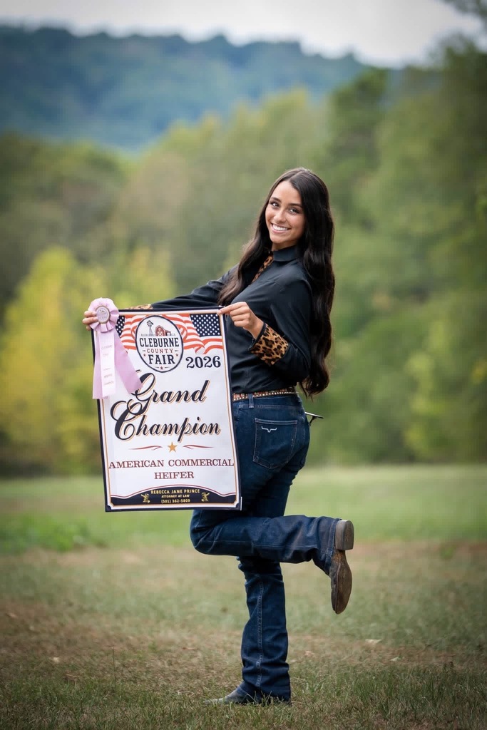 Lacy Tutor showed a grand champion American commercial heifer