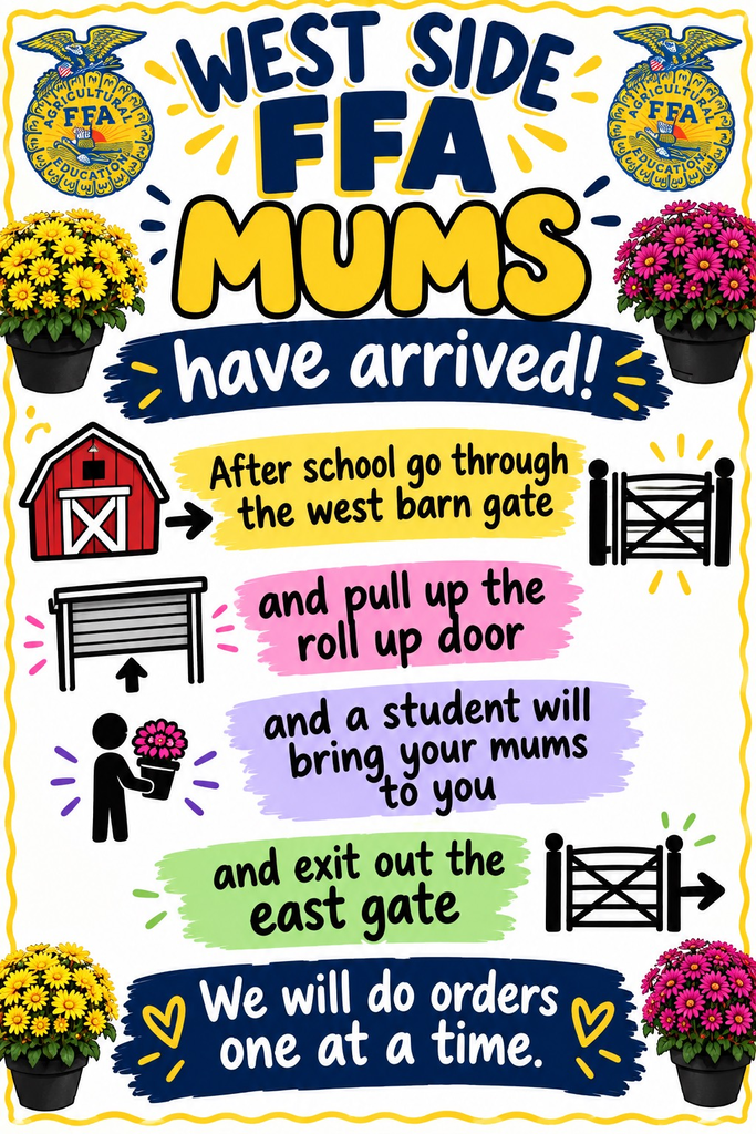 Pick up mums today at the agri barn