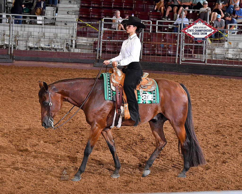 Lacy Tutor - Arkansas State Championship Horse Show