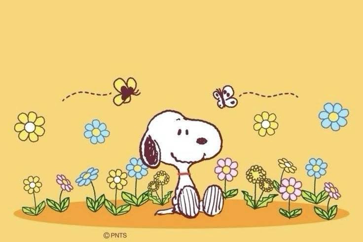 A yellow background with the character snoopy sitting in a bed of flowers