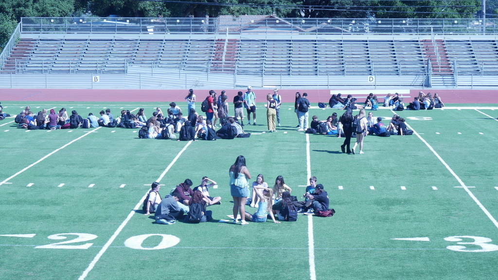 Freshmen and their Link Crew leaders on the football field