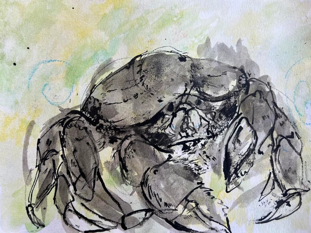 Black crab on green and yellow background