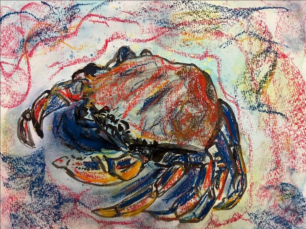 crab on multicolored background