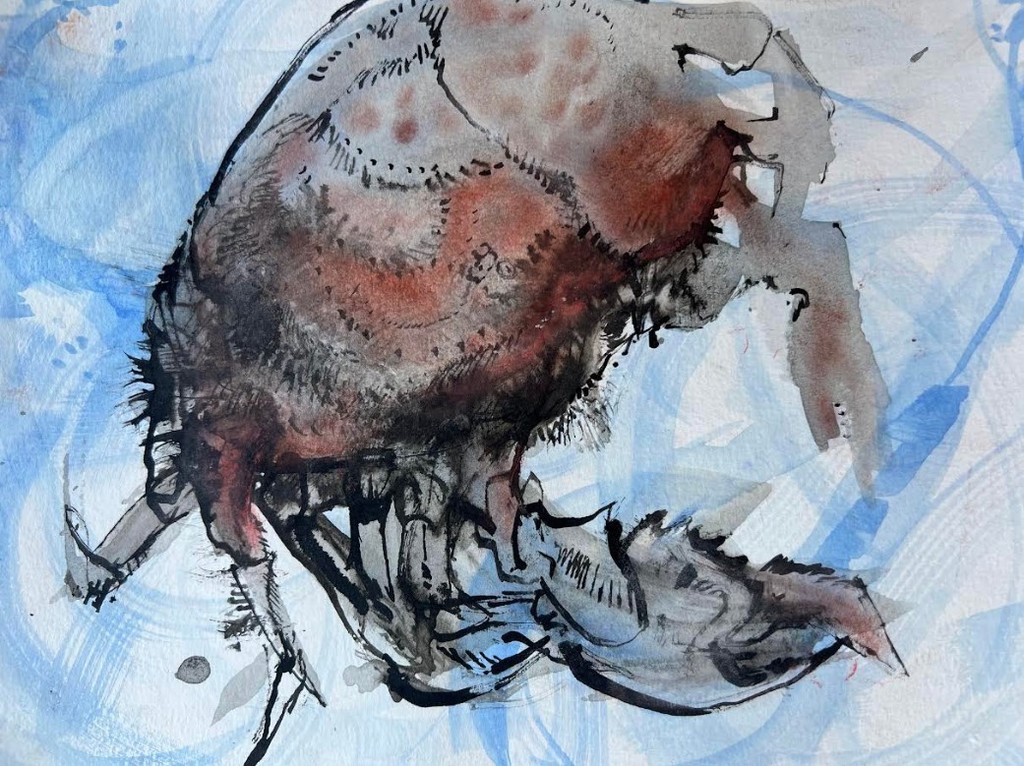 Crab on blue background 