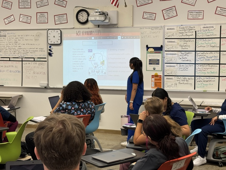medical presentations 