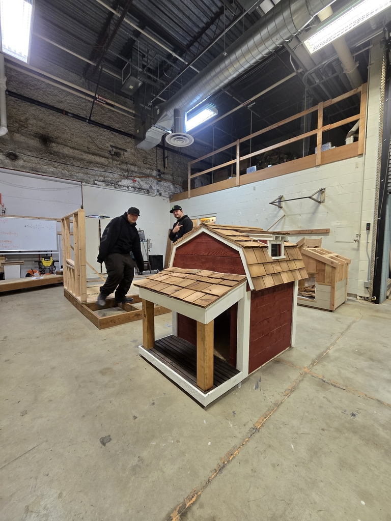 Afternoon doghouse