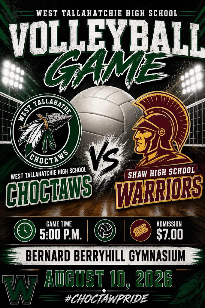 volleyball flyer