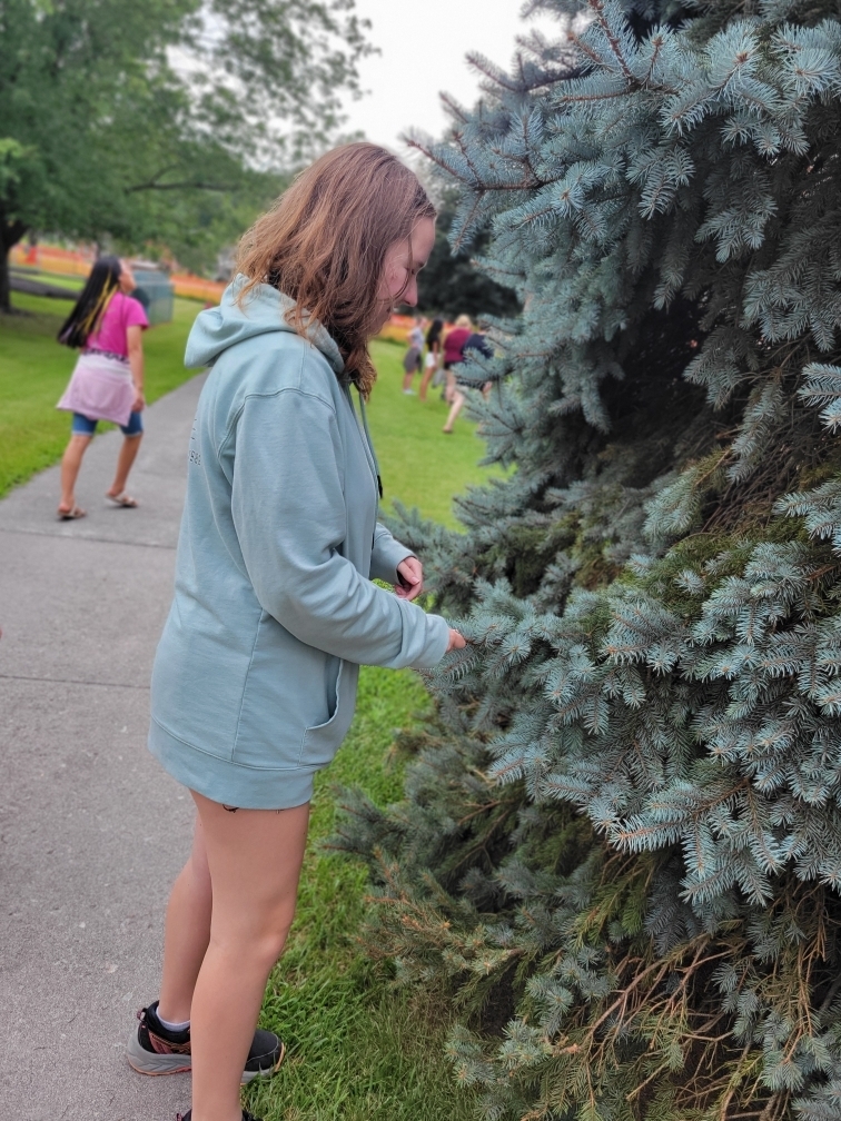 A female camp participant wearing a light , blue-colored sweatshirt touches a green-colored pine tree. 