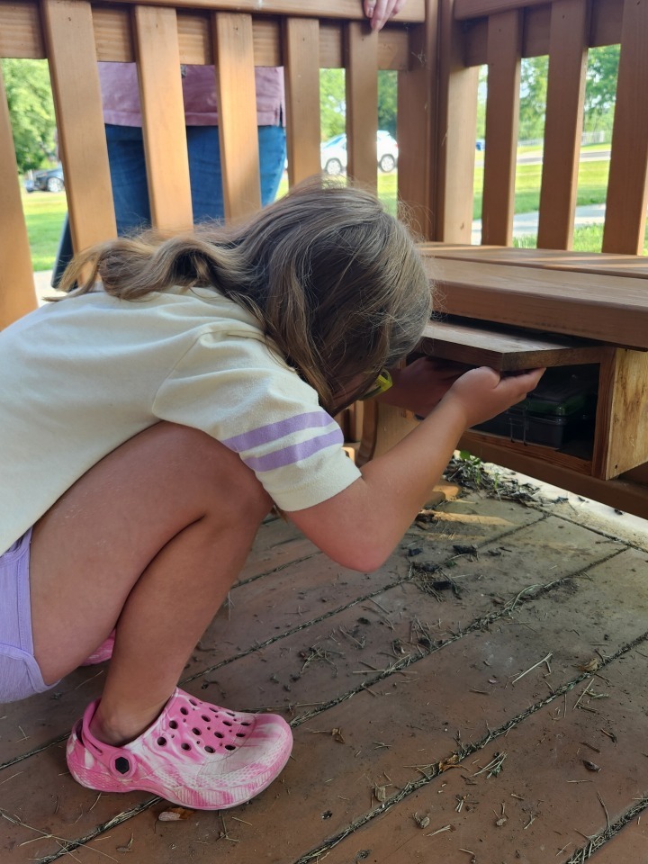 A female camp participant searches a wooden cubby for a geocache. 