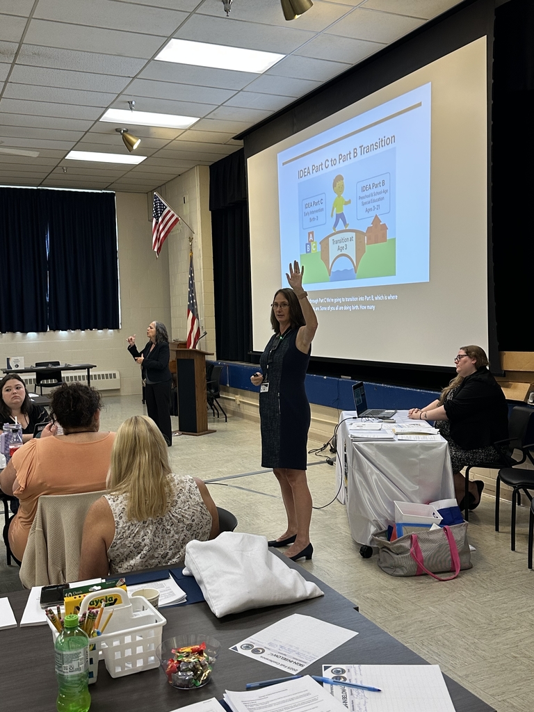 Nora Stevenson presenting for the DHH conference session.