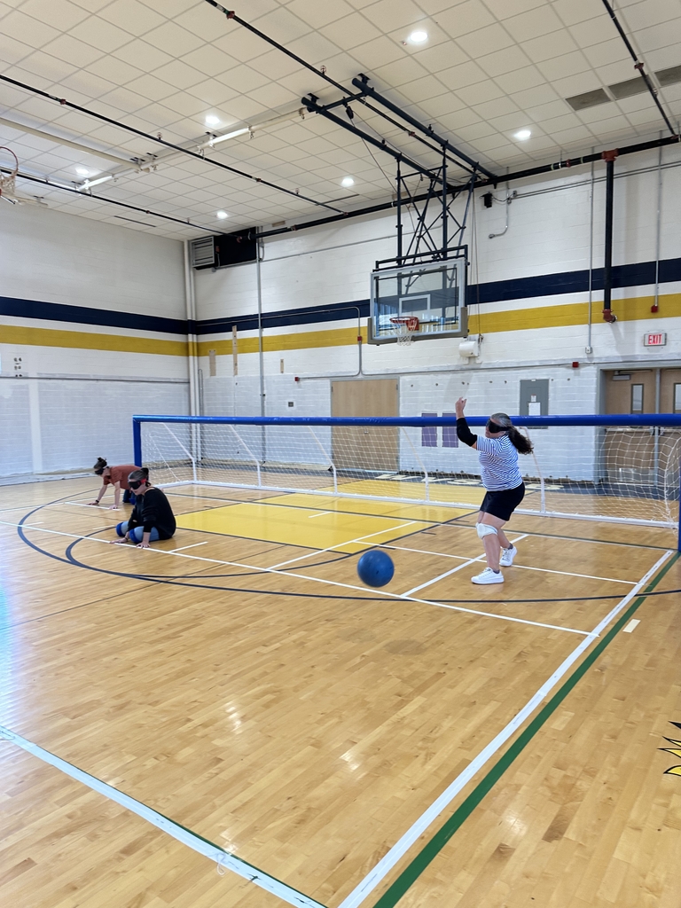 VI conference attendees learning how to play goalball.
