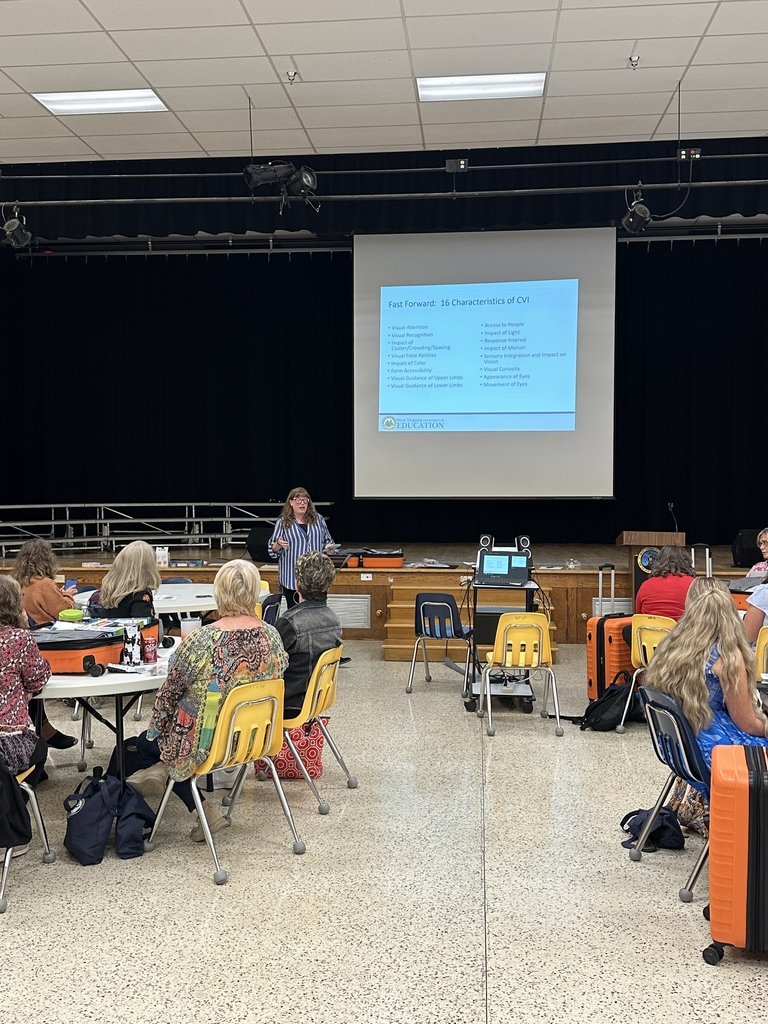 A female presenter is presenting for the VI conference session.