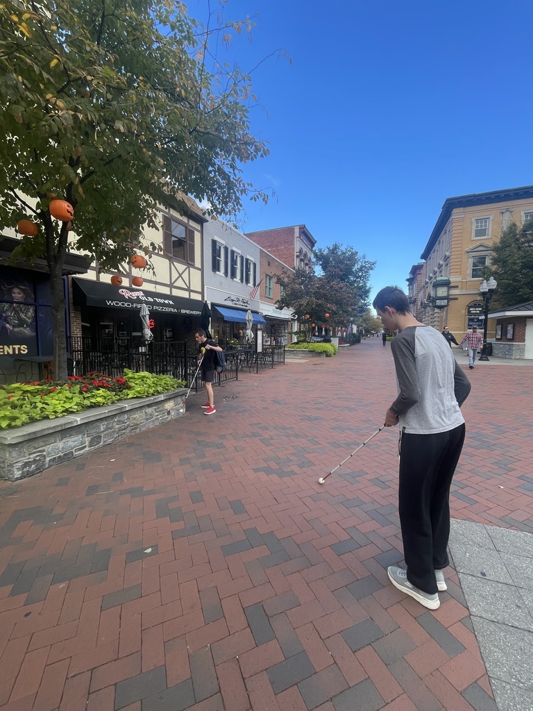 Two male students navigate getting to a restaurant using their white canes to help guide them.