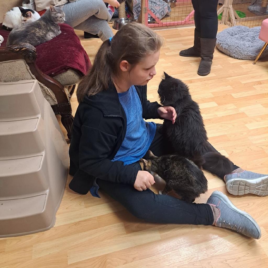 A female is seated on the floor as two cats surround her.