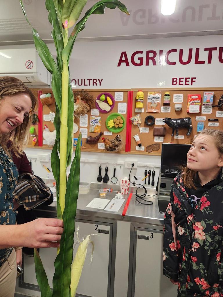 A female student looks up at a green and yellow-colored corn stalk, while a female smiles and touches the corn stalk.