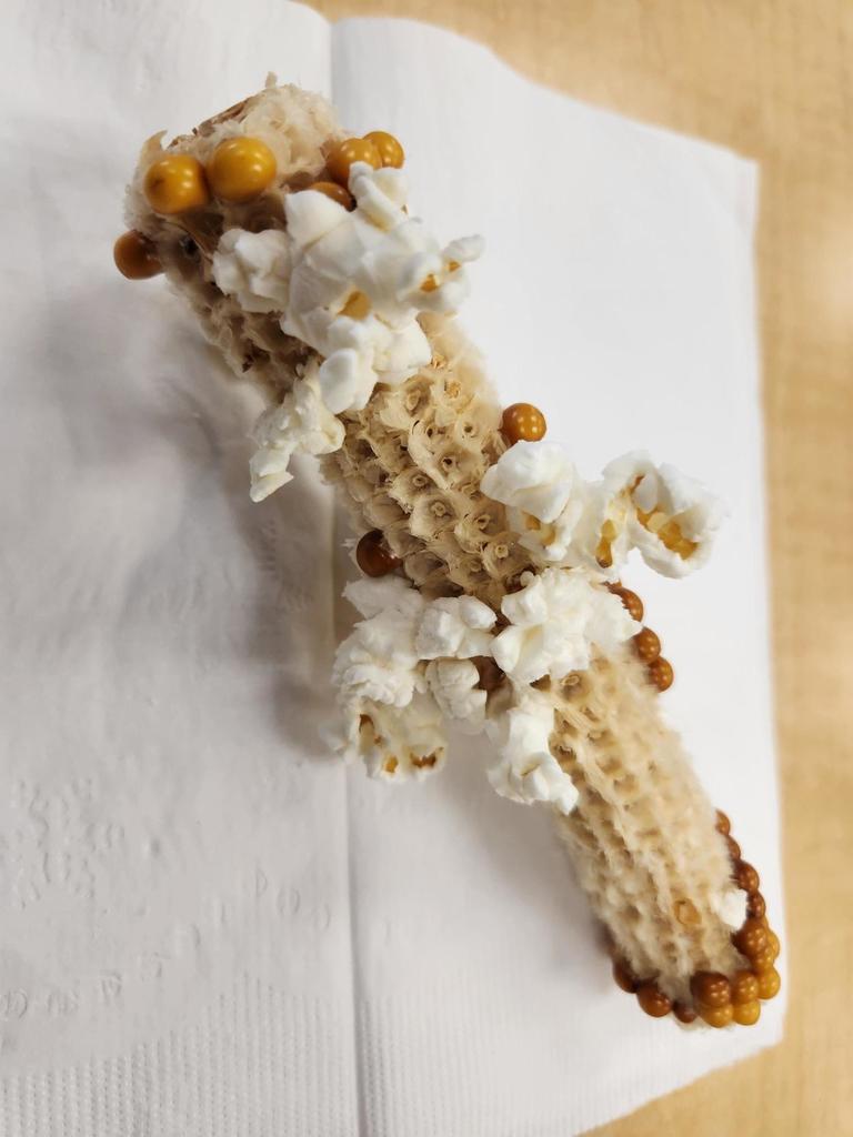 A corn cob with kernels and pieces of popped popcorn.