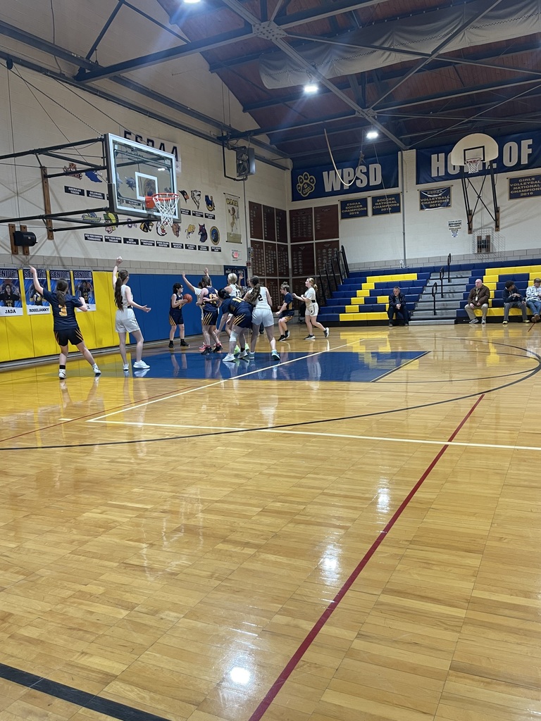 Girls' basketball team playing on the court against WPSD.